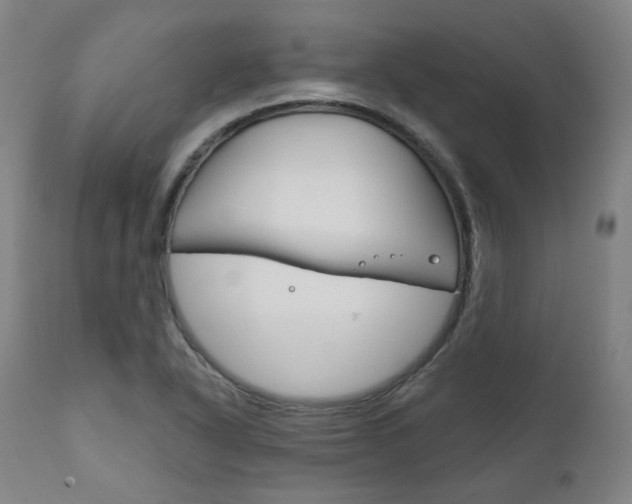 X0000111821318200907231014