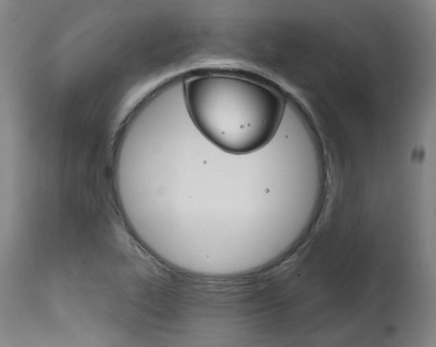 X0000111821319200907231014
