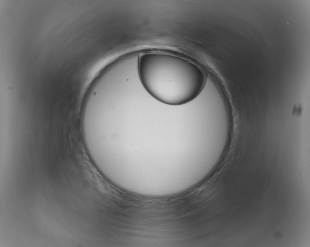 X0000111821320200907231014