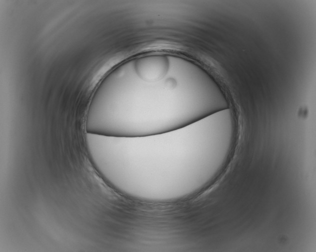 X0000111821321200907231014