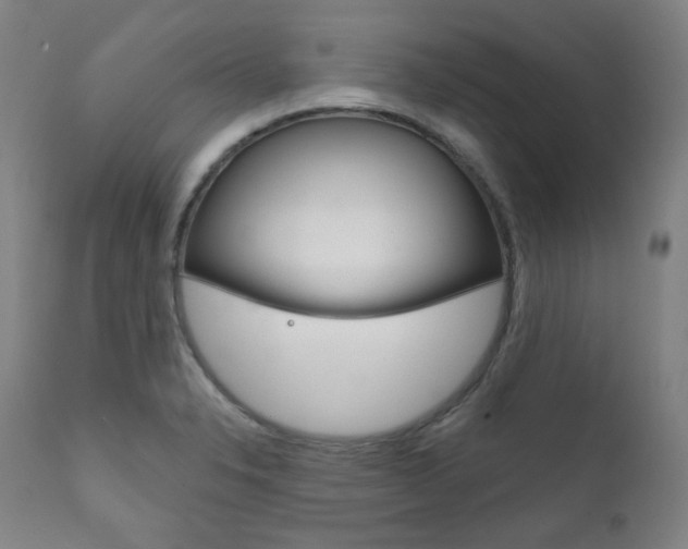 X0000111821326200907231014