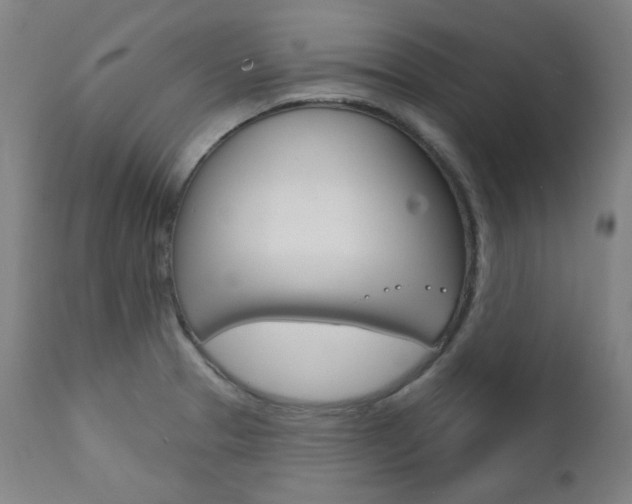 X0000111821329200907231014