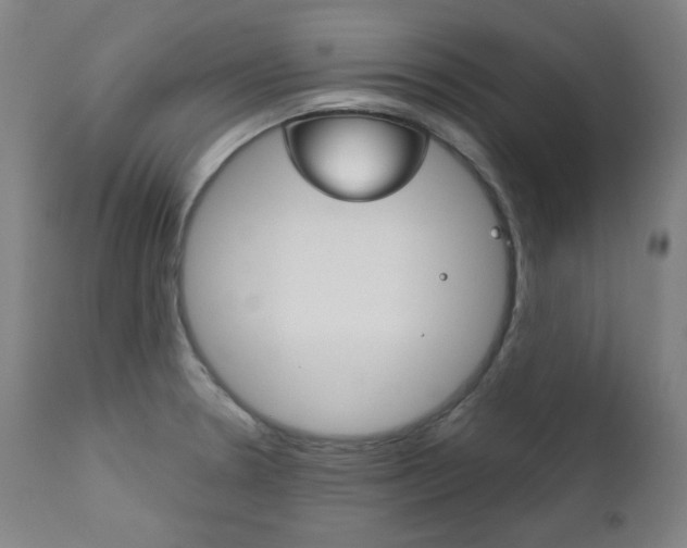 X0000111821330200907231014
