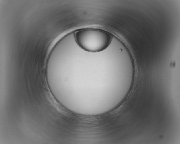 X0000111821332200907231014