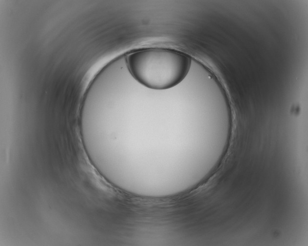 X0000111821336200907231014