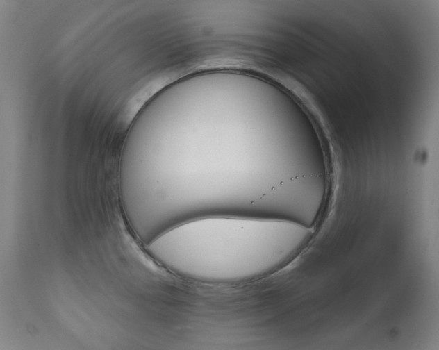 X0000111821337200907231014
