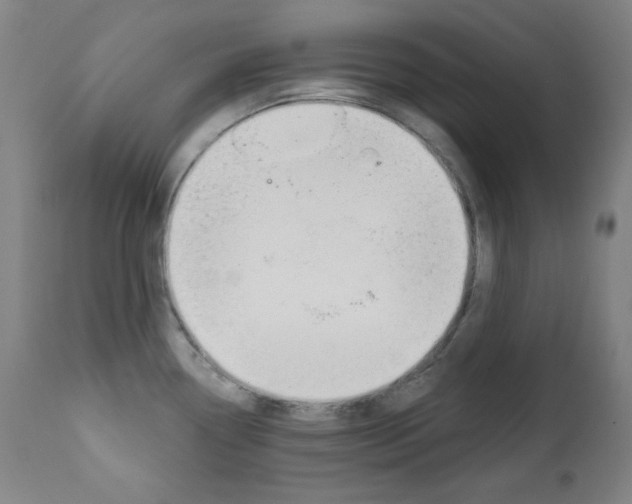 X0000111821338200907231014