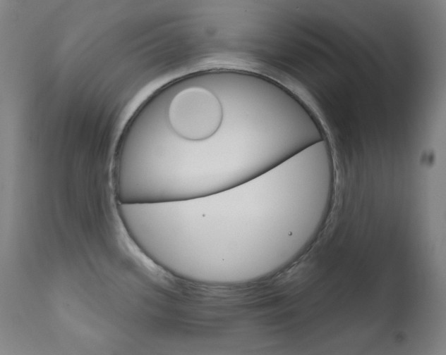 X0000111821339200907231014