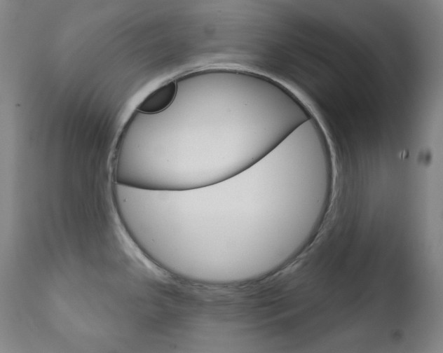 X0000111821341200907231015