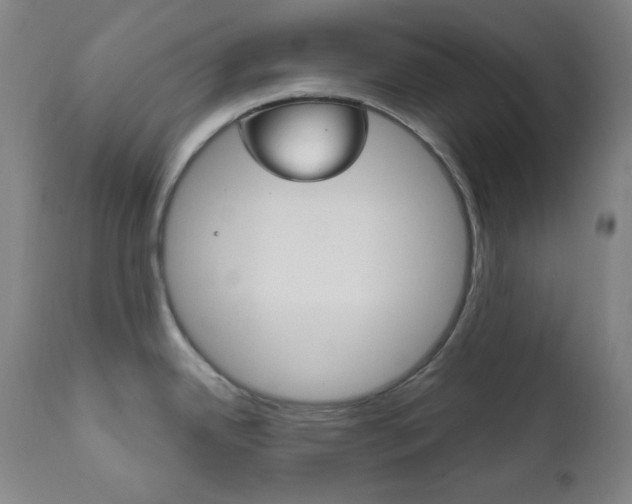 X0000111821342200907231015