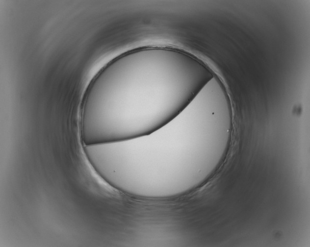 X0000111821343200907231015