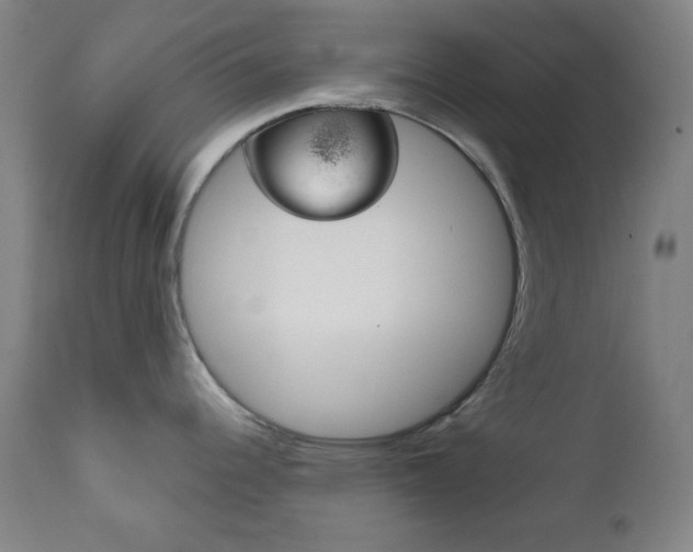 X0000111821344200907231015