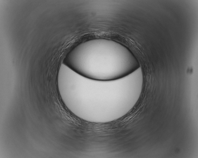 X0000111821345200907231014