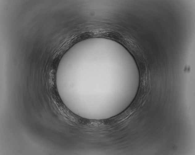 X0000111821346200907231014