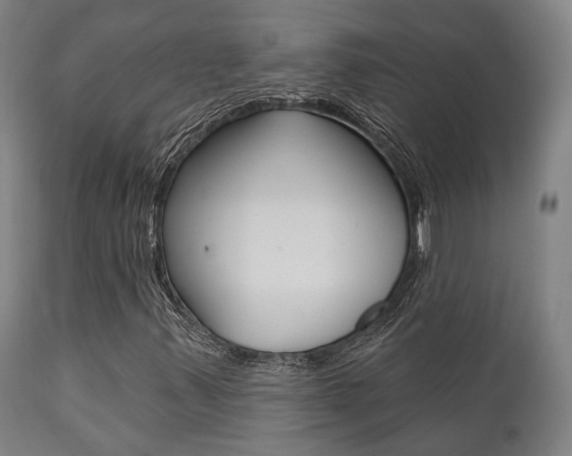 X0000111821347200907231014