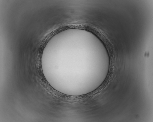 X0000111821350200907231014