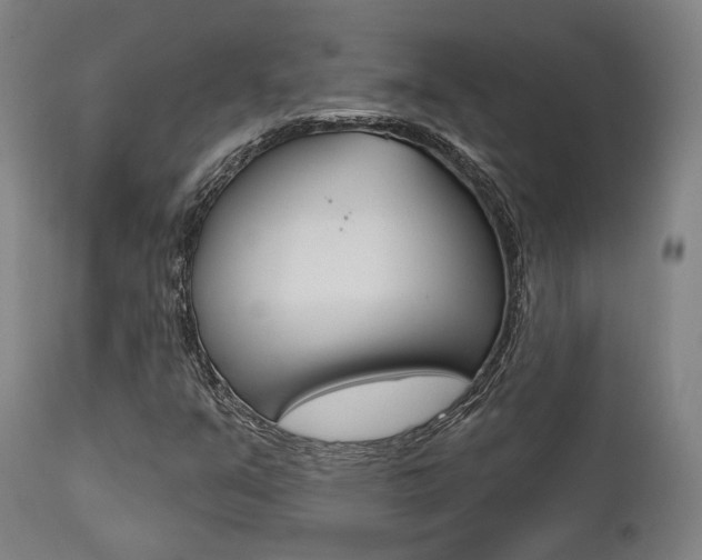 X0000111821351200907231014
