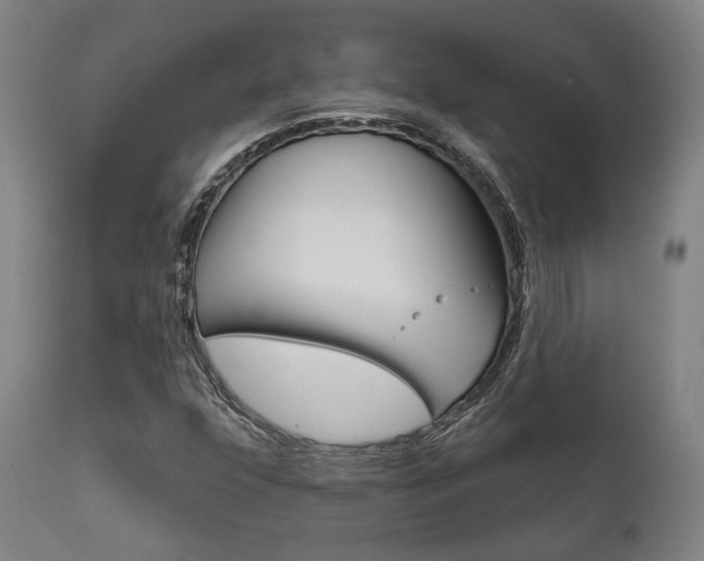 X0000111821352200907231014