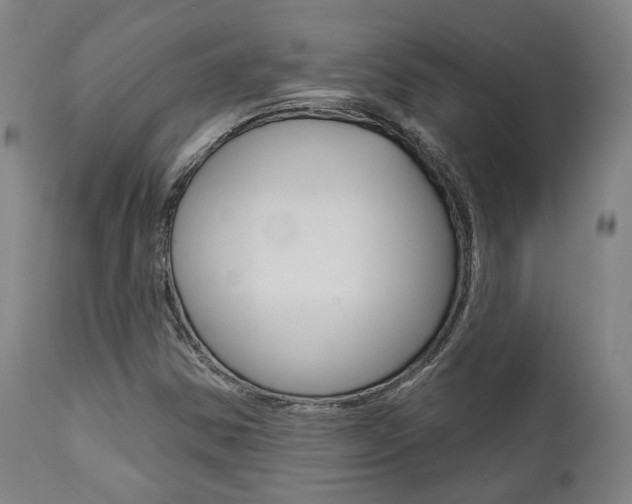 X0000111821354200907231014