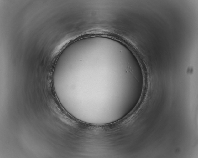X0000111821355200907231014