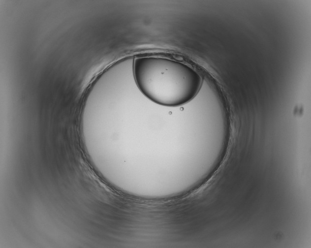 X0000111821357200907231014