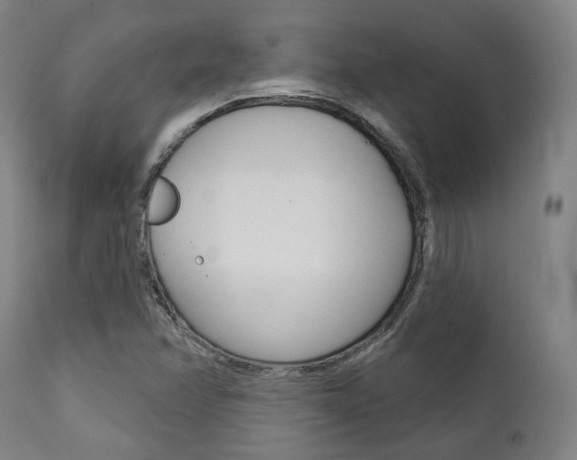 X0000111821358200907231014