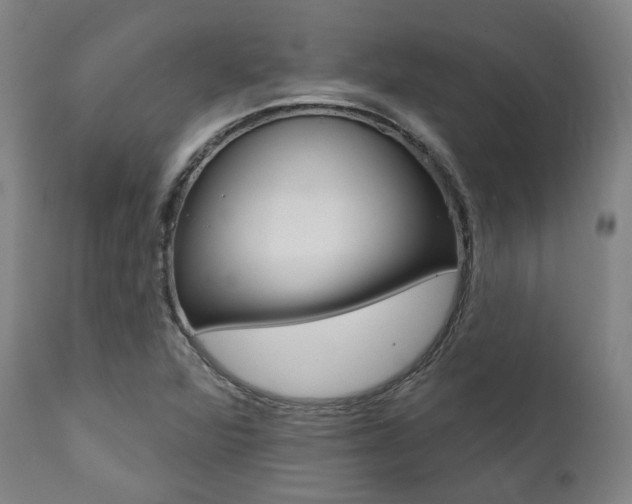 X0000111821360200907231014