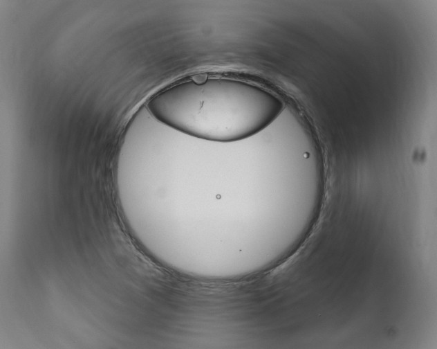 X0000111821361200907231014