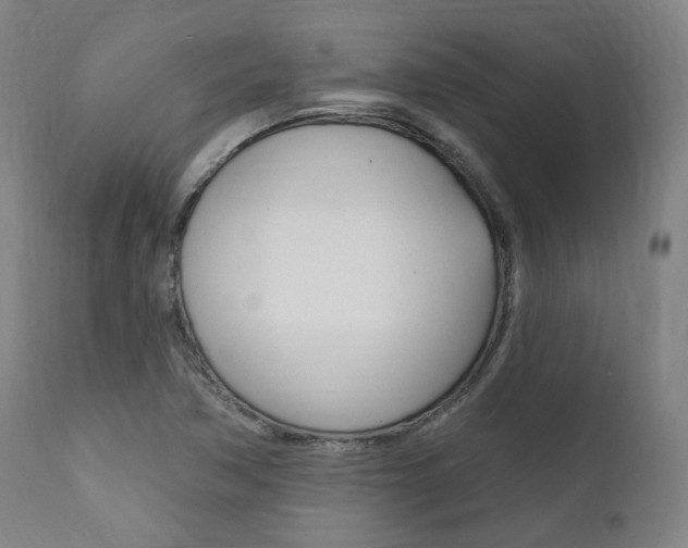 X0000111821362200907231014