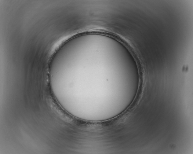 X0000111821363200907231014