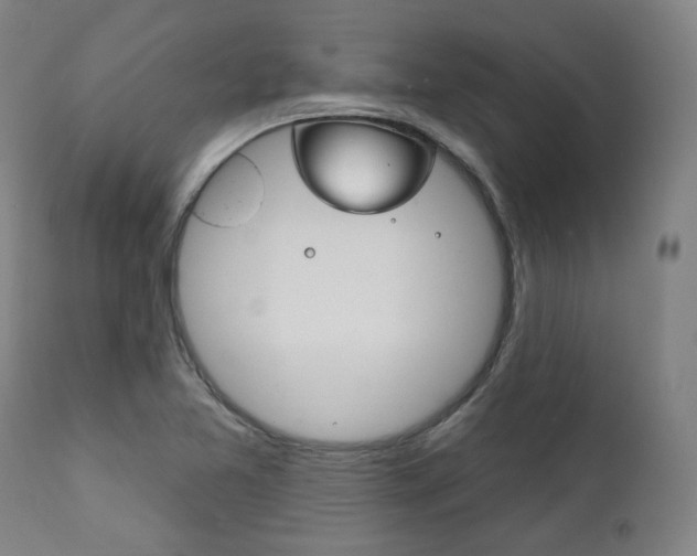 X0000111821365200907231014
