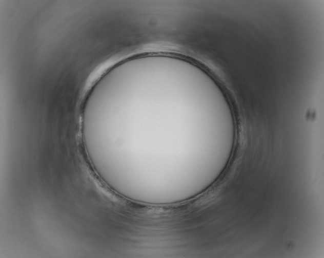 X0000111821366200907231014