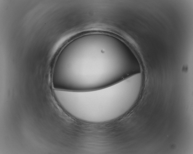 X0000111821368200907231013