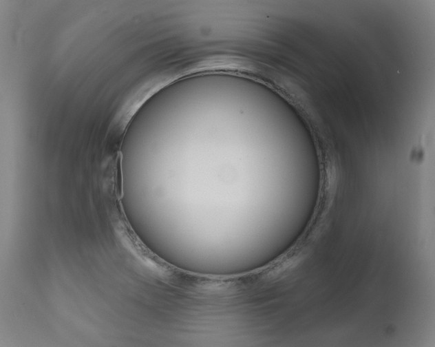 X0000111821369200907231013