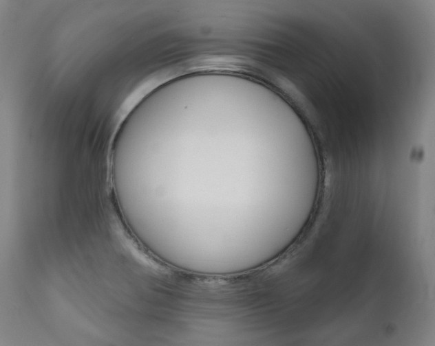 X0000111821370200907231013