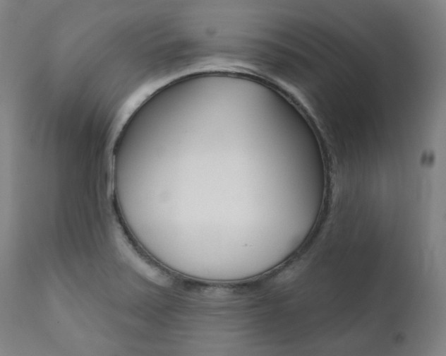 X0000111821371200907231013