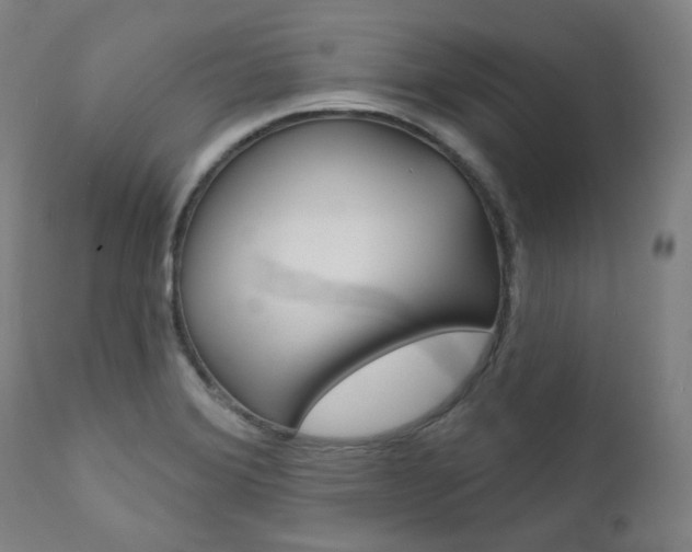 X0000111821372200907231013