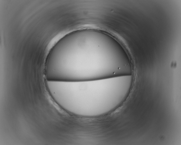 X0000111821373200907231013