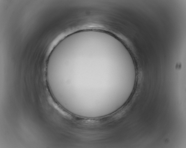 X0000111821374200907231013
