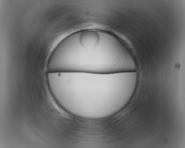 X0000111821375200907231013