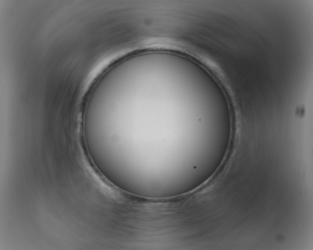X0000111821376200907231013