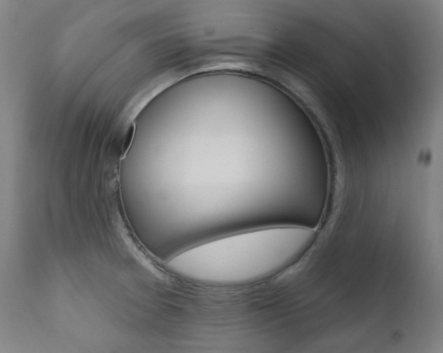 X0000111821377200907231013
