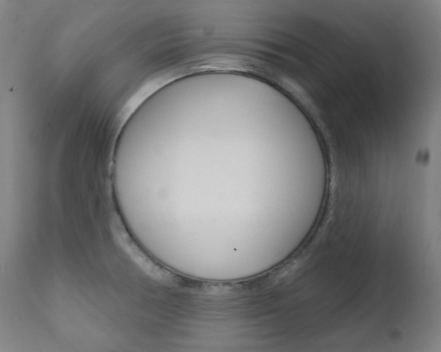 X0000111821378200907231013