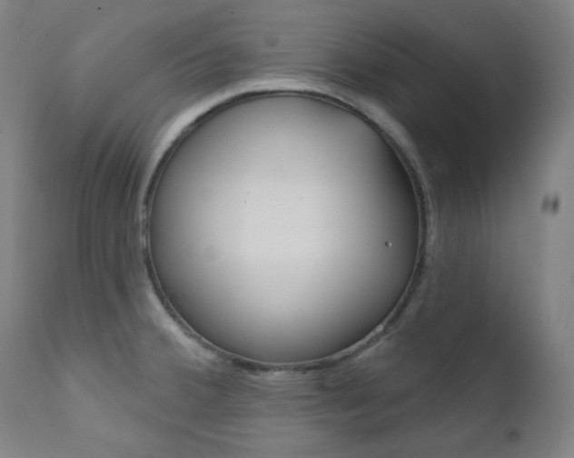X0000111821380200907231013