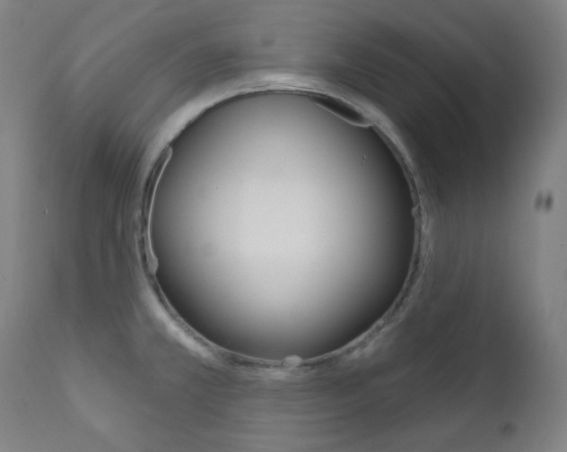 X0000111821381200907231013