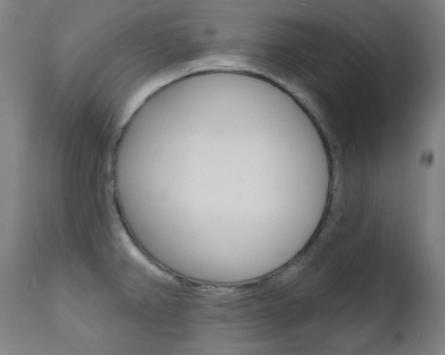X0000111821382200907231013