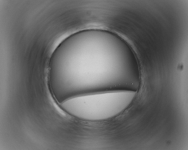X0000111821383200907231013