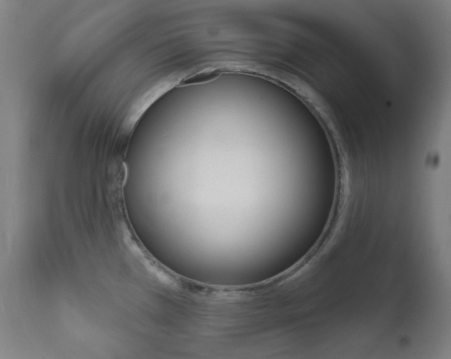 X0000111821385200907231013