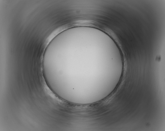 X0000111821386200907231013