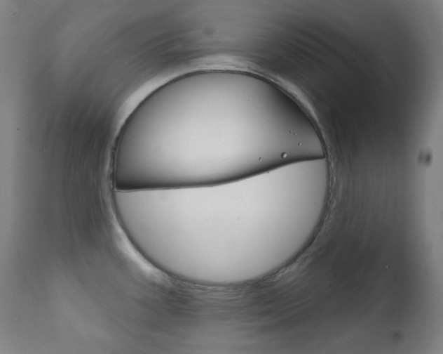 X0000111821387200907231013